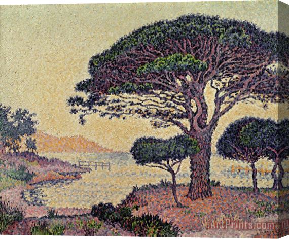 Paul Signac Umbrella Pines at Caroubiers Stretched Canvas Painting / Canvas Art
