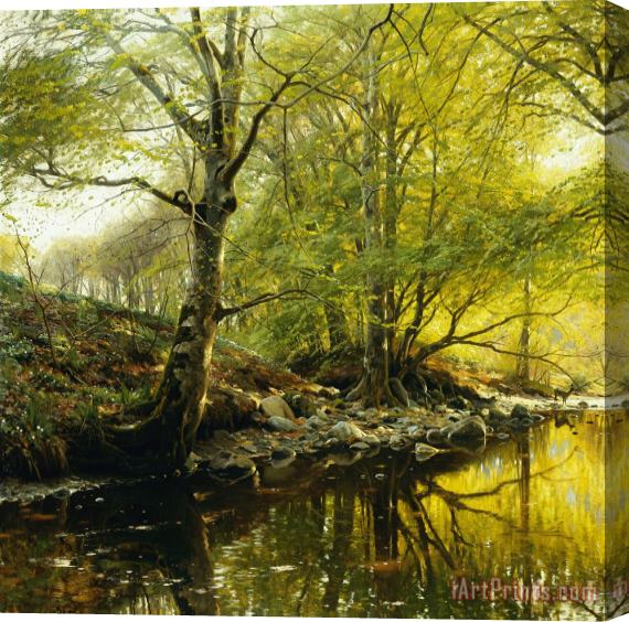 Peder Monsted A Wooded River Landscape Stretched Canvas Print / Canvas Art