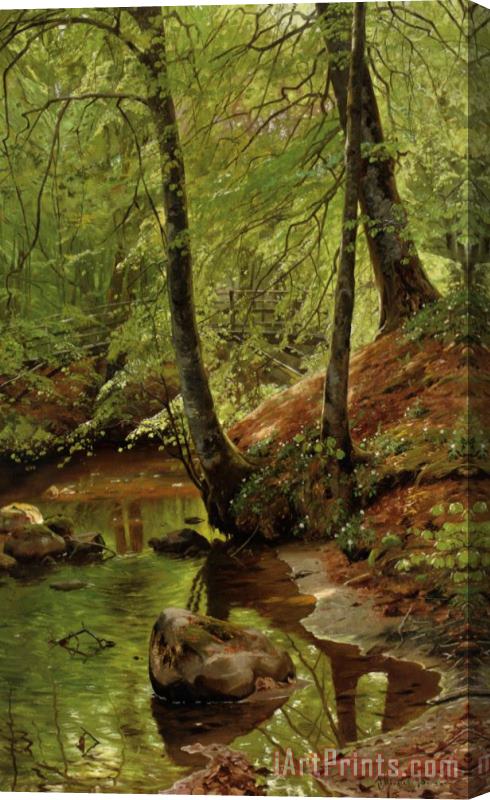Peder Mork Monsted A Forest Stream Stretched Canvas Print / Canvas Art