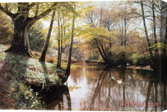 Peder Mork Monsted A River Landscape in Springtime Stretched Canvas Print / Canvas Art