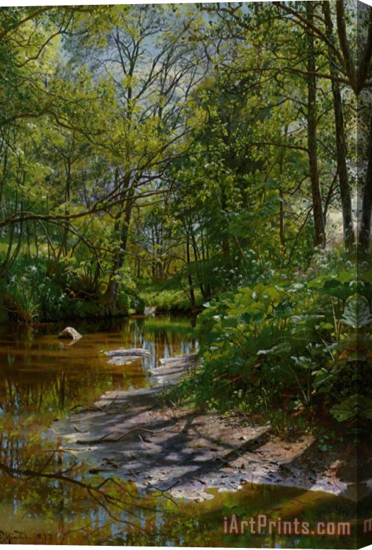 Peder Mork Monsted A River Landscape Stretched Canvas Print / Canvas Art