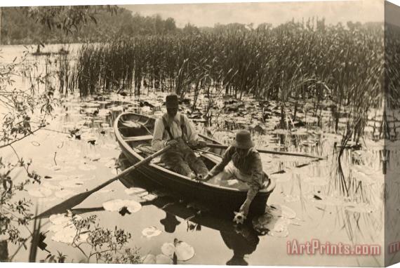 Peter Henry Emerson Gathering Water Lilies Stretched Canvas Painting / Canvas Art