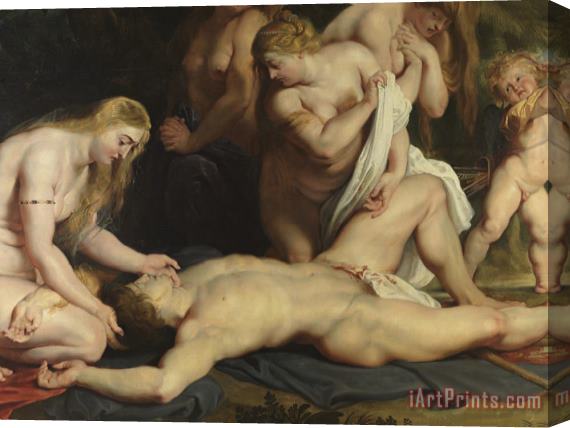 Peter Paul Rubens The Death of Adonis with Venus, Cupid, And The Three Graces, (detail) Stretched Canvas Print / Canvas Art