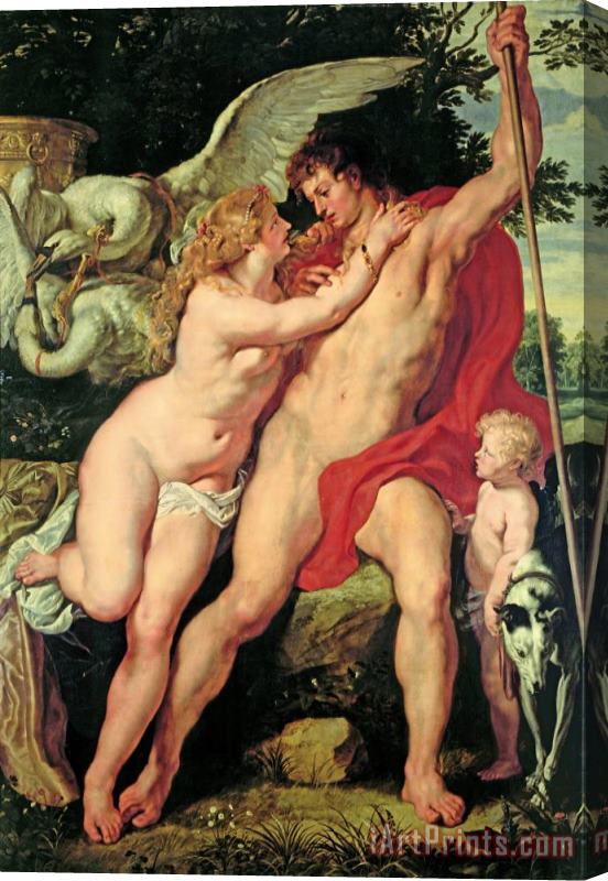 Peter Paul Rubens Venus And Adonis Stretched Canvas Print / Canvas Art