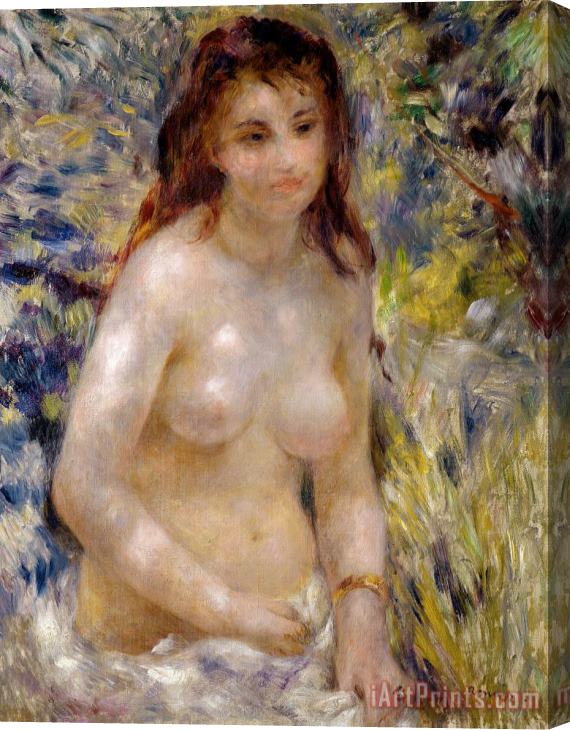Pierre Auguste Renoir Torso effect of sunlight Stretched Canvas Print / Canvas Art