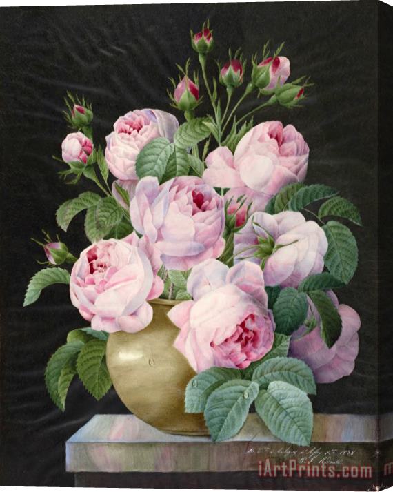 Pierre Joseph Redoute Pink Roses in a Vase Stretched Canvas Painting / Canvas Art