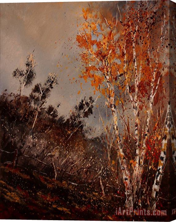 Pol Ledent Autumn birches Stretched Canvas Print / Canvas Art