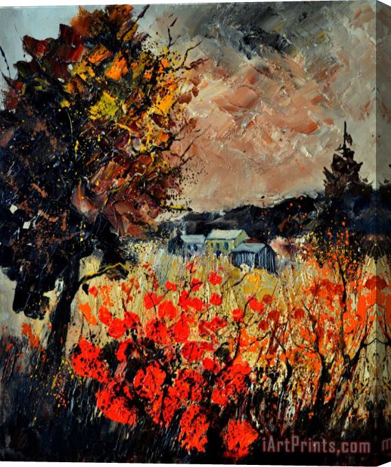 Pol Ledent Autumn in Ardennes Stretched Canvas Print / Canvas Art