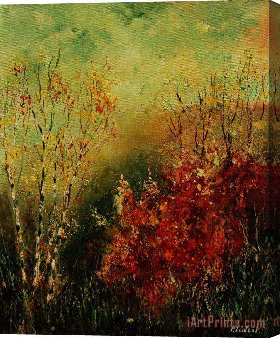 Pol Ledent Autumn Lanfscape Stretched Canvas Print / Canvas Art