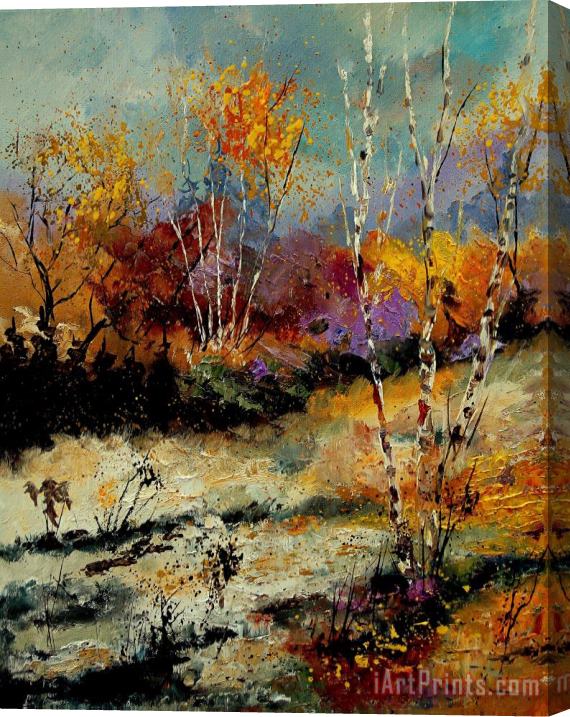 Pol Ledent Birchtrees 459090 Stretched Canvas Print / Canvas Art