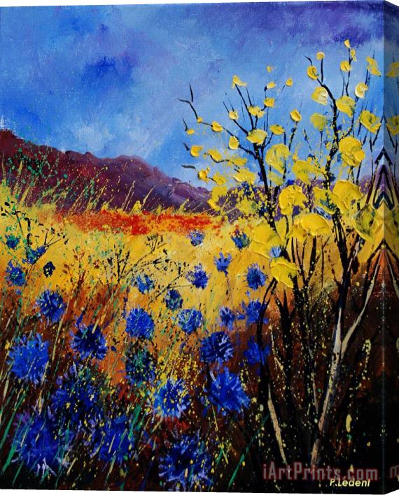 Pol Ledent Blue Cornflowers Stretched Canvas Print / Canvas Art