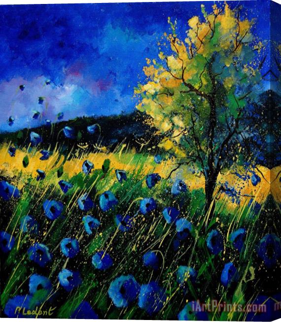 Pol Ledent Blue poppies Stretched Canvas Print / Canvas Art