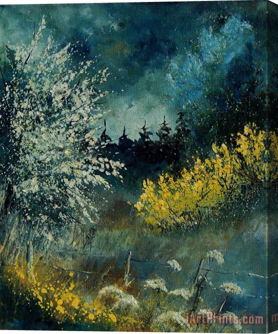 Pol Ledent Brooms shrubs Stretched Canvas Print / Canvas Art