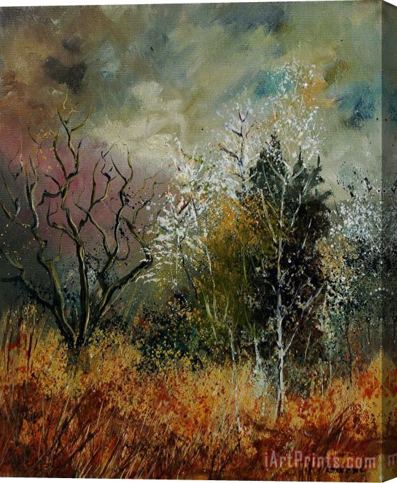 Pol Ledent End Of Winter Stretched Canvas Print / Canvas Art