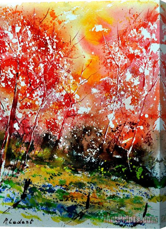 Pol Ledent Exploding nature Stretched Canvas Painting / Canvas Art