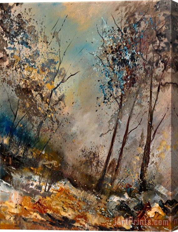 Pol Ledent In The Wood 451180 Stretched Canvas Print / Canvas Art