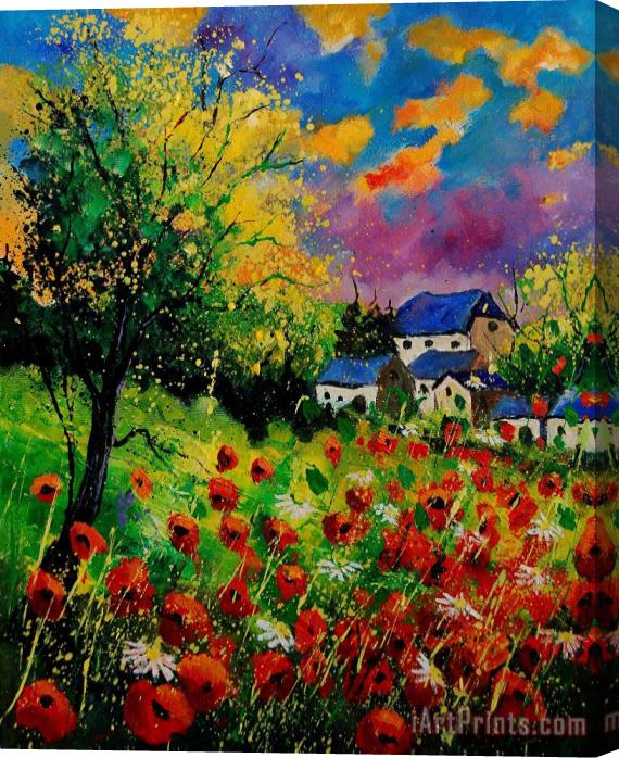 Pol Ledent Poppies and daisies 560110 Stretched Canvas Print / Canvas Art
