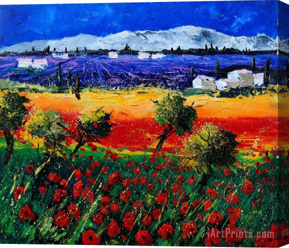 Pol Ledent Poppies in Provence Stretched Canvas Print / Canvas Art