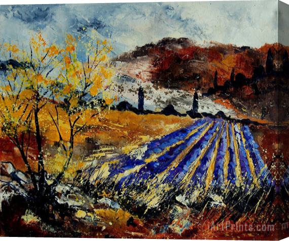 Pol Ledent Provence 564578 Stretched Canvas Print / Canvas Art