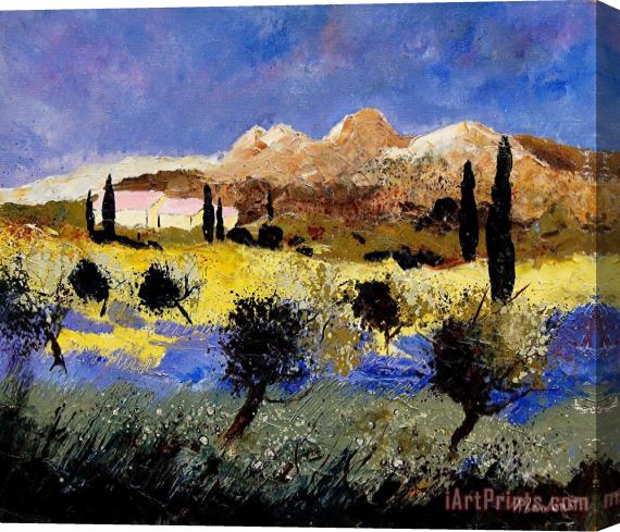 Pol Ledent Provence 674525 Stretched Canvas Print / Canvas Art