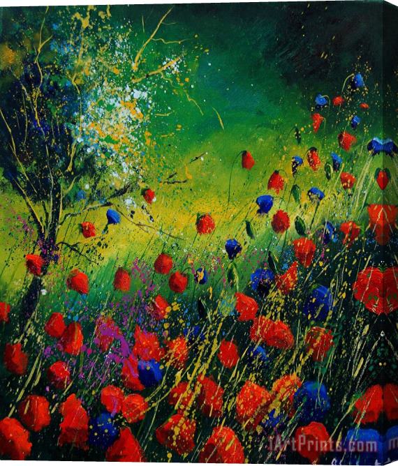 Pol Ledent Red And Blue Poppies 67 1524 Stretched Canvas Print / Canvas Art