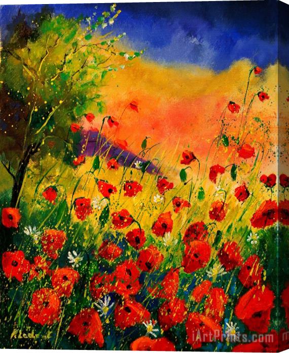 Pol Ledent Red Poppies 45 Stretched Canvas Print / Canvas Art