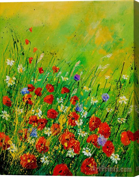 Pol Ledent Red Poppies 450708 Stretched Canvas Print / Canvas Art