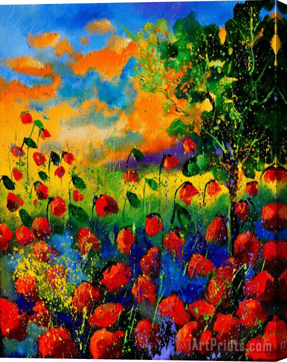 Pol Ledent Red Poppies 45150 Stretched Canvas Print / Canvas Art