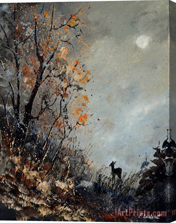 Pol Ledent Roe deer at moonshine Stretched Canvas Print / Canvas Art