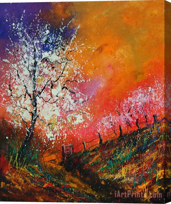 Pol Ledent Spring Today Stretched Canvas Print / Canvas Art
