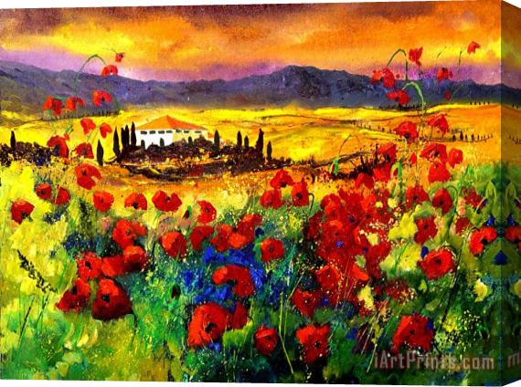 Pol Ledent Tuscany 68 Stretched Canvas Print / Canvas Art