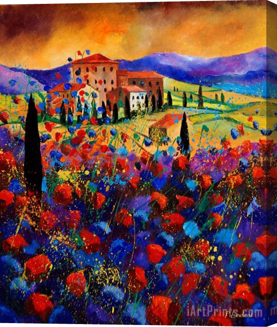 Pol Ledent Tuscany poppies Stretched Canvas Print / Canvas Art