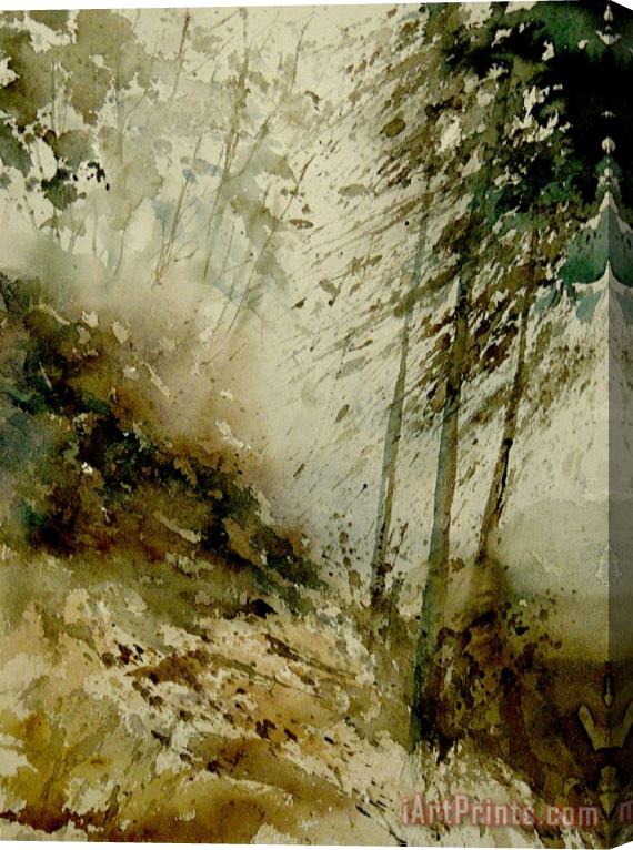 Pol Ledent Watercolor Misty Atmosphere Stretched Canvas Print / Canvas Art