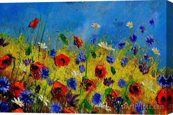 Pol Ledent Wild Flowers 119010 Stretched Canvas Print / Canvas Art