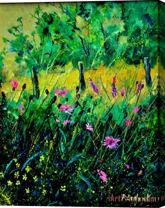 Pol Ledent Wild Flowers 451190 Stretched Canvas Print / Canvas Art
