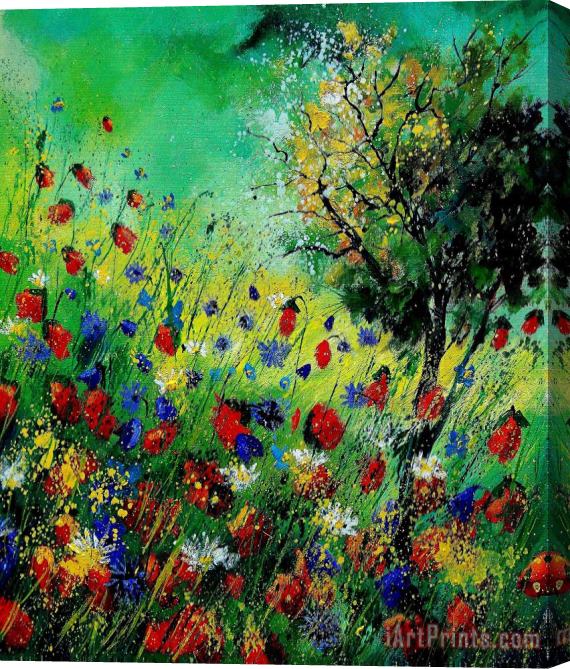 Pol Ledent Wild Flowers 670130 Stretched Canvas Painting / Canvas Art