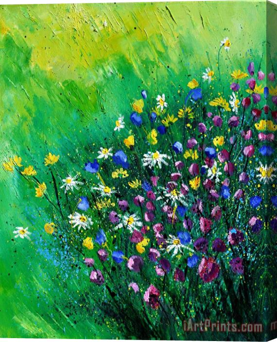 Pol Ledent Wild Flowers Stretched Canvas Painting / Canvas Art