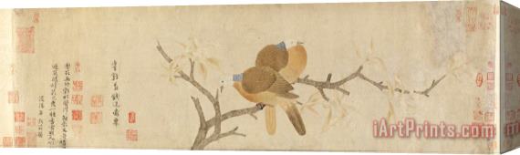 Qian Xuan Doves And Pear Blossoms After Rain Stretched Canvas Print / Canvas Art