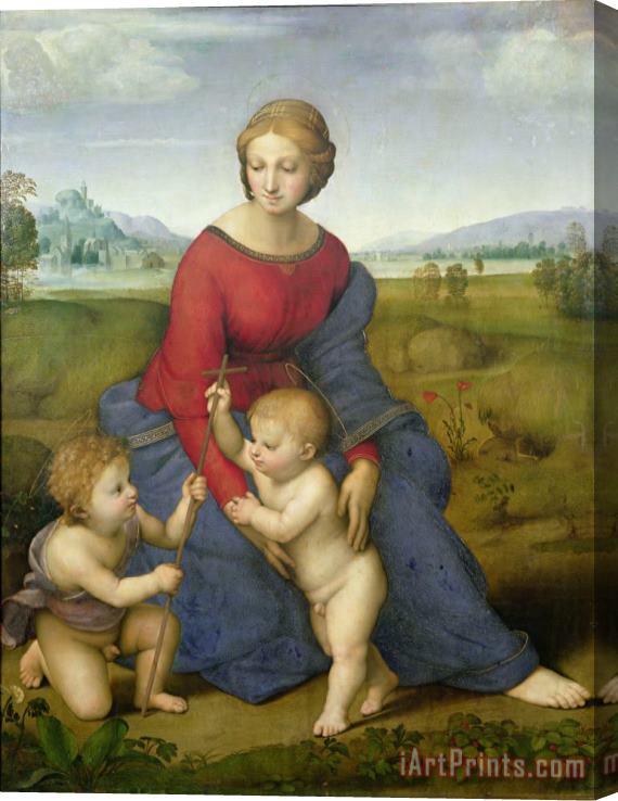 Raphael Madonna in the Meadow Stretched Canvas Painting / Canvas Art