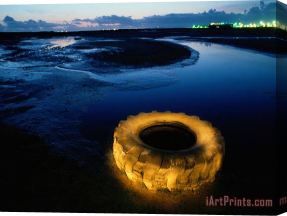 Raymond Gehman A Discarded Tire Glowing Like Neon in The Marsh Stretched Canvas Painting / Canvas Art
