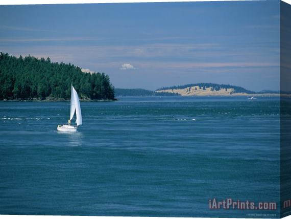 Raymond Gehman A Sailboat Travels Off Canadas Western Coast Stretched Canvas Painting / Canvas Art