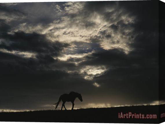Raymond Gehman A Wild Horse Is Silhouetted Under Ominous Storm Clouds Stretched Canvas Print / Canvas Art