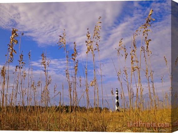 Raymond Gehman Cape Lookout Lighthouse Framed by Sea Oats Under a Cloudy Sky Stretched Canvas Print / Canvas Art