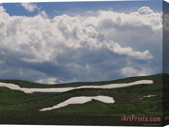 Raymond Gehman Clouds Fill The Sky Over June Snowbanks in Hayden Valley Stretched Canvas Print / Canvas Art