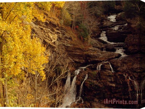 Raymond Gehman Creek Running Through Forest in Autumn Hues in Cullasaja Gorge Stretched Canvas Painting / Canvas Art