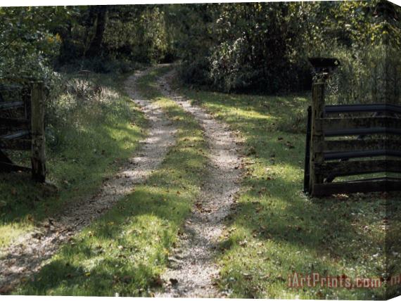 Raymond Gehman Driveway And Gate Through a Peaceful Woodland Setting Stretched Canvas Painting / Canvas Art
