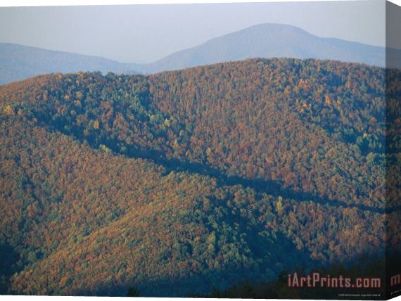 Raymond Gehman Fall Colors in Forests Along Skyline Drive Massanutten Mountain in Back Stretched Canvas Print / Canvas Art