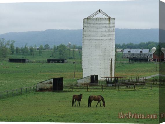 Raymond Gehman Farm Scene with Horses Grazing in Green Fields Near a Silo Stretched Canvas Print / Canvas Art