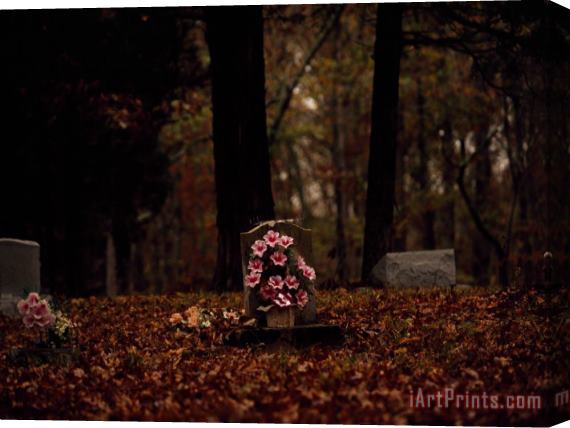 Raymond Gehman Flowers at a Tombstone in a Cemetery Near a Forest Stretched Canvas Print / Canvas Art