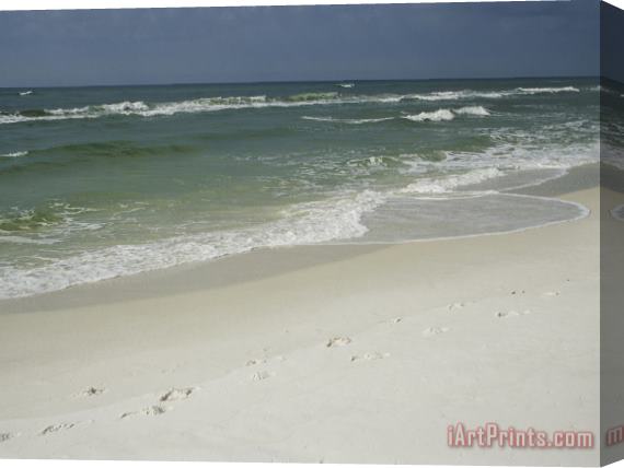 Raymond Gehman Footprints Along a Sandy Beach with Gentle Surf Stretched Canvas Print / Canvas Art